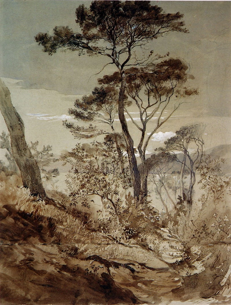 Pini a Sestri, 1845